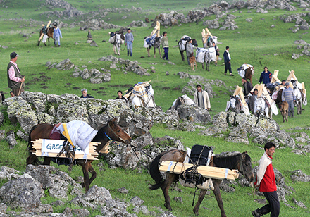 Foto: Manuel Citak