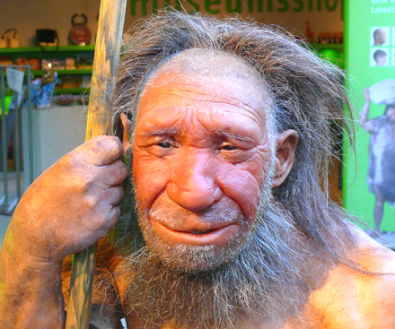 neandertaler homo neandertalensis henryk m. broder urmensch
