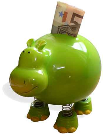 Bafög Schwein sparen