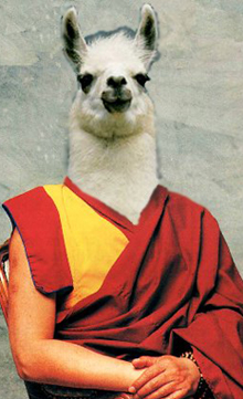 dalai lama lama