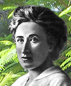 Rosa Luxemburg im garten Graphik: Christian Heinrici