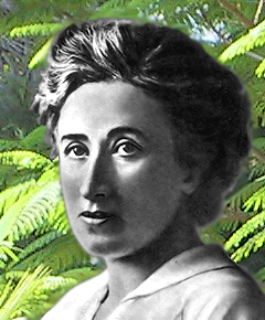  - Rosa_Luxemburg_garten