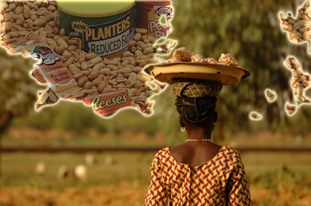 Peanuts Erdnüsse in Burkina Faso Foto: RomanBonnefoy Montage: Heinrici