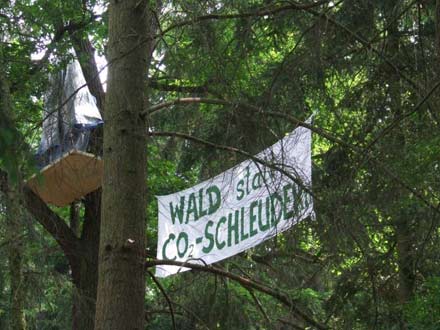 Kelsterbach Wald Baumbesetzung