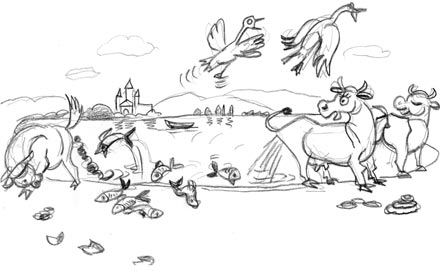 Karikatur - Kühe scheissen in den See, die Fische und Enten flüchten