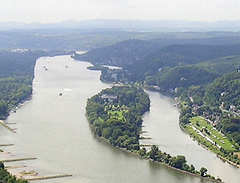 Die Insel Nonnenwerth bei Remagen Foto (Ausschnitt): Labradormix