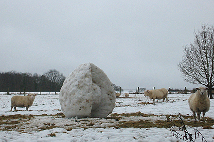 „Schnee“ von Markus Thonett schaafe