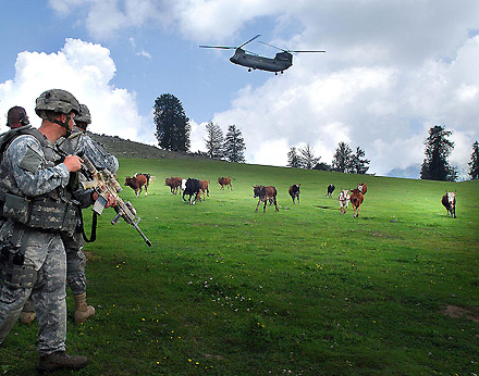 US-Soldaten im Angriff auf afghanische Kühe in Kunar