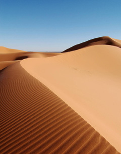 Marokko Wüste Sahara Foto: Rosa Cabecinhas und Alcino Cunha