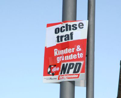 ochse traf rinder und gründete die npd