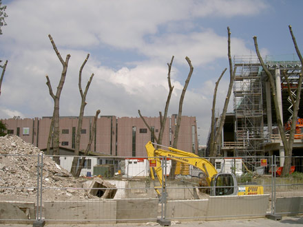 Abriss im Barmer Viertel hat begonnen