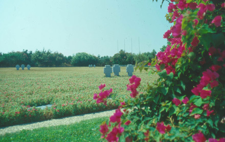 Deutscher Heldenfriedhof auf Kreta