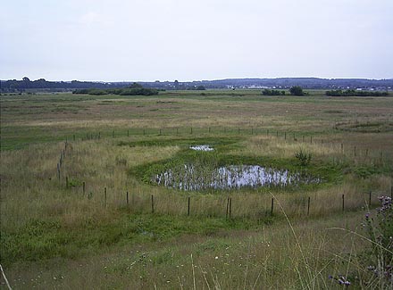 Artenreichtum