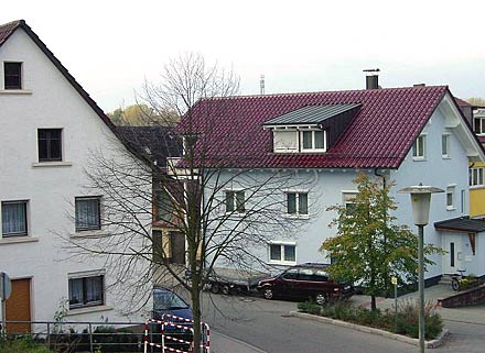 Baumsterben3