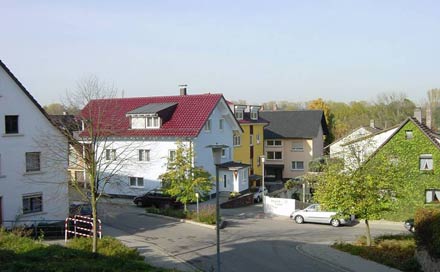 Baumsterben4