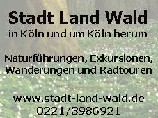 www.stadt-land-wald.de